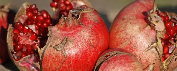 Granatno jabolko vsebuje več kalija kot banane.