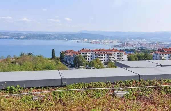 Razgled iz Nokturna na morje