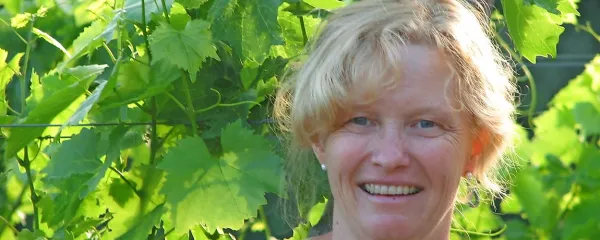 Andreja Škvarč: “Če gledamo Primorsko, ta še  
vedno sloni na značilnih primorskih  sortah. Na 
prvem mestu je  refošk, sledita  ji malvazija in 
rebula, od svetovnih sort so  merlot, chardonnay, 
sauvignon, sivi pinot.”