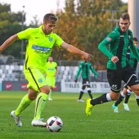 Brezzobi kozli zakopani v velenjski rudnik