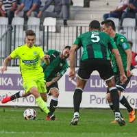 Brezzobi kozli zakopani v velenjski rudnik