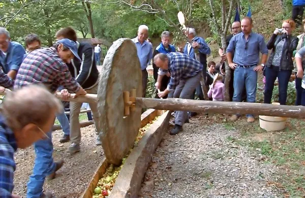 Na prvem delu vinte se je v trenju jabolk preizkusila moška 
sila.