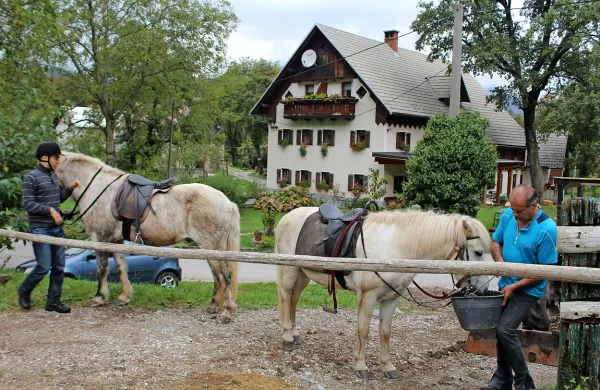   Turistična kmetija Pri Flandru zaključuje eno boljših turističnih 
sezon.