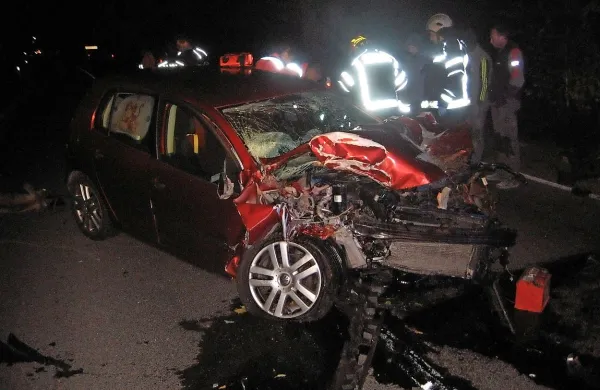 Včeraj zjutraj je pri Postojni avto silovito trčil v jelena.