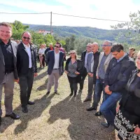 Prvo oljčno olje