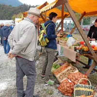 Na 32. Kmečkem  prazniku so prodajali 39 plemenskih govedi
