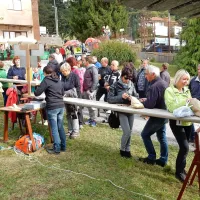 Kostanj si je opomogel