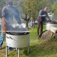 Kostanj si je opomogel