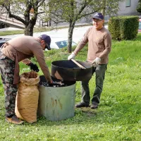 Kostanj si je opomogel