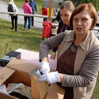 Kostanj si je opomogel