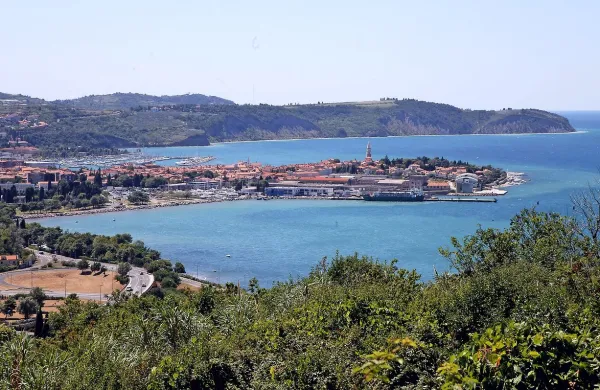 Pri  razvoju  Izole imajo še vedno  glavno besedo  banke, ki 
razpolagajo z najpomembnejšimi zemljišči ob morju.