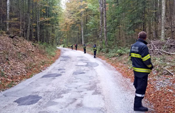 Reševalci so v strelcih iskali dela  strmoglavljenega letala