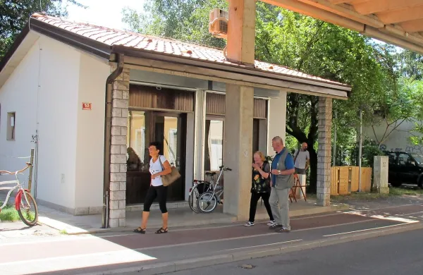 David Verlič v Carinarnici