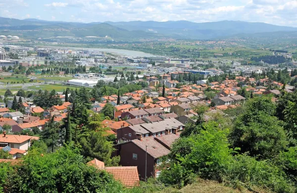 Semedela