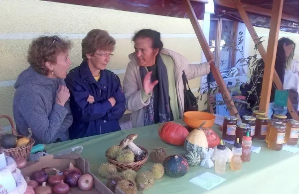 Pečen kostanj, kostanjeva torta in &scaron;e mnogo drugega