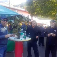 Pečen kostanj, kostanjeva torta in &scaron;e mnogo drugega