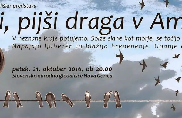 Osnovna zamisel predstave je raziskovati selitve, ki so bile, 
predvsem v 19. in 20. stoletju, tako pomembne za Primorce, 
zdaj pa krojijo svetovno dogajanje. 