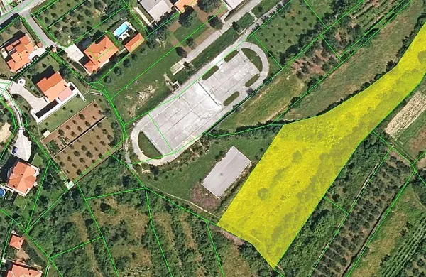 Z rumeno sta označeni parceli tik nad baliniščem, ki ju je MO 
Koper znova uvrstila na prodajni seznam dražbe ta četrtek.