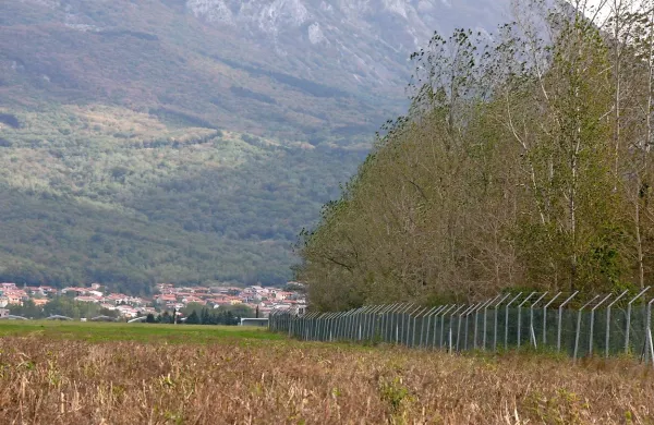 Približno 1700 dreves v vetrozaščitnih pasovih ob ajdovskem 
letališču bodo posekali.