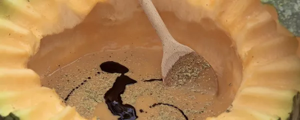 Bučna juha s krompirjem, majaronom in medom