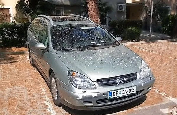 Avtomobili, ki so parkirani pod drevesi pinij, niso “varni” pred 
iztrebki škorcev.