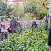 Tretjeuvrščeni vrt na Kmečki ulici je presenetil s količino 
raznovrstne zelenjave.