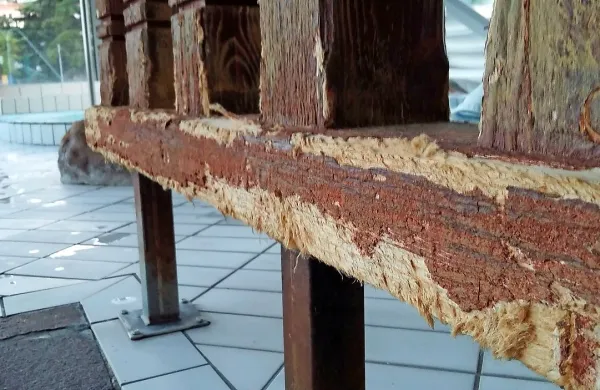 Slana voda naj bi pospeševala tudi uničenje lesenih delov v 
Aquaparku.