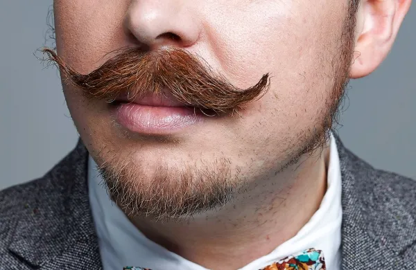 Brki, zaščitni znak gibanja in meseca movember. 