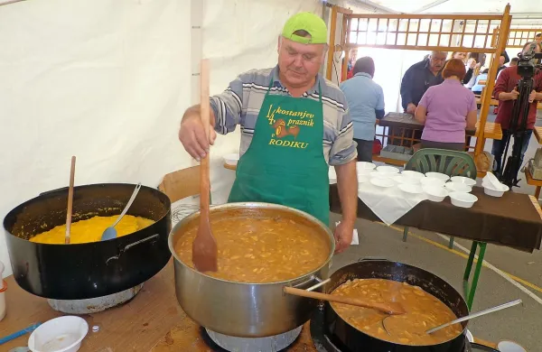 Na Pregarjah je bila letos letina gob precej slaba, a domačini 
so kljub temu nabrali dovolj jurčkov za  gobji golaž.