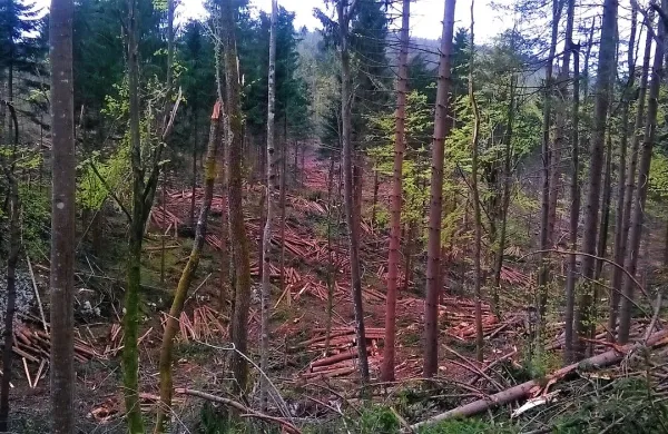 Fotografija je simbolična.