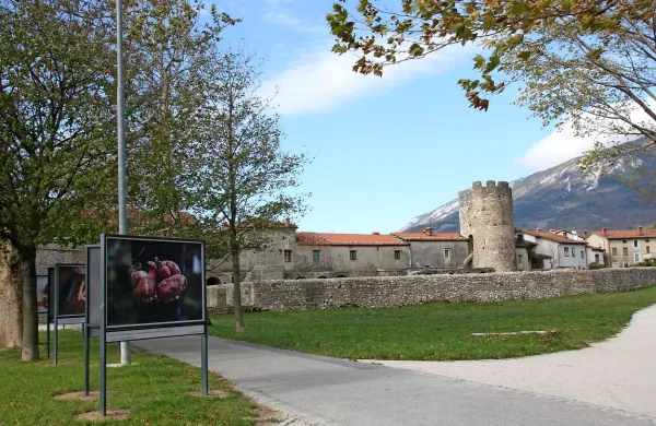 Bogata zgodovina Ajdovcem ponuja različne zgodbe, s 
katerimi bi lahko razvijali dediščinski turizem.