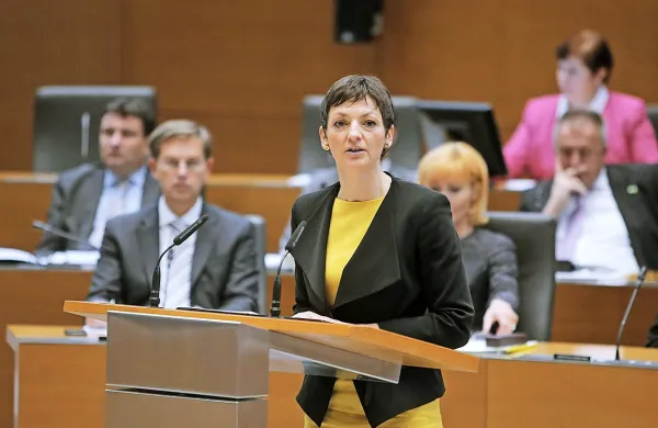 Ministrica za izobraževanje, znanost in šport Maja Makovec 
Brenčič očitke iz interpelacije, ki so jo vložili poslanci SDS, v 
celoti zavrača kot neutemeljene.