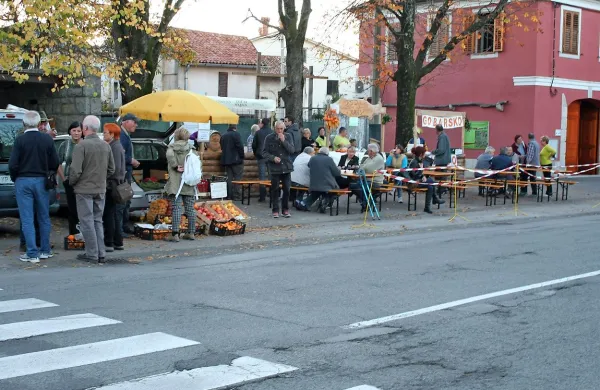 Z avtobusom od kleti do kleti