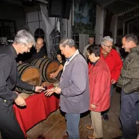 Bela so dobra, rdeča pa super