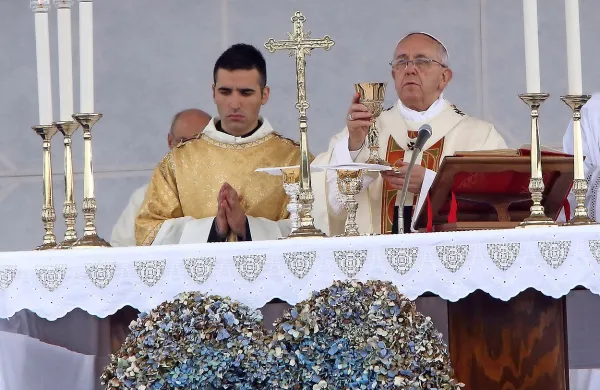 Papež Frančišek se bo v Vatikanu ob zaključku jubilejnega 
svetega leta usmiljenja srečal z več tisoč brezdomci iz 
celotne Evrope.