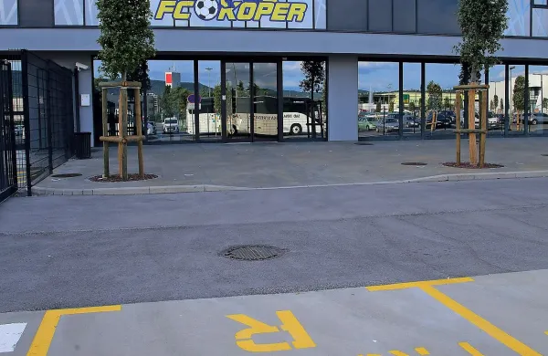 Odkar je nova vodilna garnitura v klubskem znaku kozo 
zamenjala s kozlom, koprskemu nogometnemu klubu uspeva bolj malo.