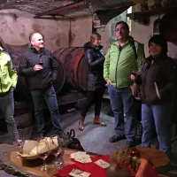 Vinska klet v Dutovljah