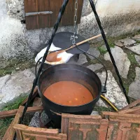 Slamčev fižol