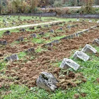 Divji pra&scaron;iči razdejali voja&scaron;ko pokopali&scaron;če