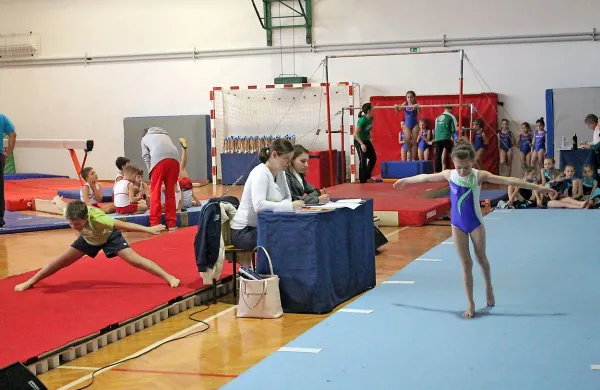 V Renčah se je v vseh kategorijah  gimnastike za vse  pomerilo 
250 tekmovalcev in tekmovalk. 