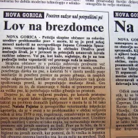 V Novi Gorici so poostrili nadzor nad potepuškimi psi.