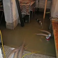 Na Gori&scaron;kem obilne padavine, voda zalila  nekaj hi&scaron; (foto in video)
