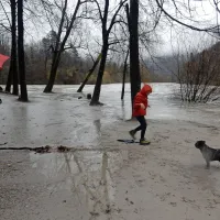 Na Gori&scaron;kem obilne padavine, voda zalila  nekaj hi&scaron; (foto in video)