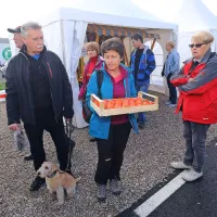 Dež ni odgnal obiskovalcev, željnih strunjanskih kakijev (foto)
