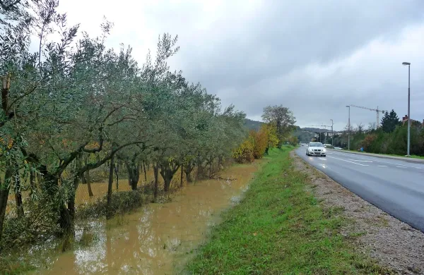 Za nedeljske padavine je bil preplitev tudi (sicer  globok) jarek 
ob Južni cesti. Bližnje oljke in trte so včeraj ostale pod 
vodo.    