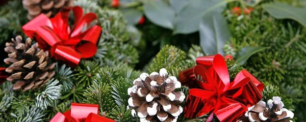 Otroci ljubijo praznovanja, takšna s tradicijo. Dajejo jim 
občutek varnosti in zadovoljstva.