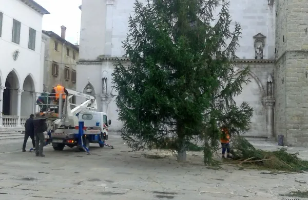 Danes so na Titovem trgu v Kopru postavili novoletno jelko. 