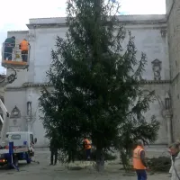 Magični december