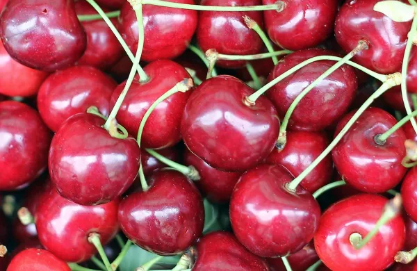In&scaron;pektorji izrekli 17 odločb o prepovedi prometa
