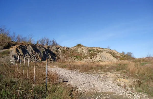 Tudi v društvu Alpe Adria Green ostro nasprotujejo, da bi 
Grafist v opuščenem laporokopu na Srminu namestil napravo za mletje gradbenega materiala.